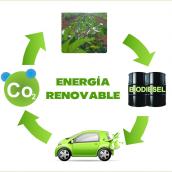 Petroleo shale vs Biocombustibles